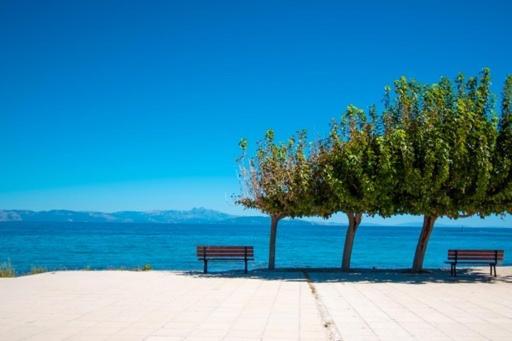 Lavish & Spacious Apt With Stunning Seaview, 10 Min Ath Airport Artemida  Esterno foto